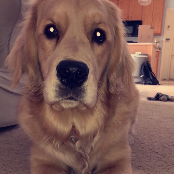 Meet your Posher, Danielle - Picture 1 of 1